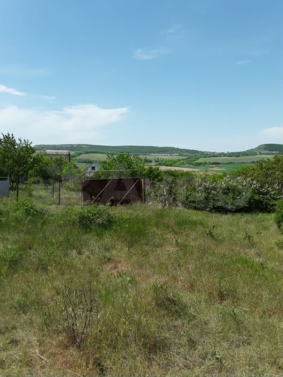 Участок 8 сот. (СНТ, ДНП)