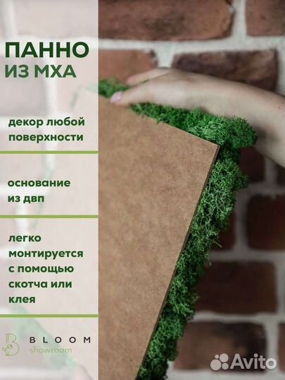 Панно стабилизированный мох ягель декор настенный