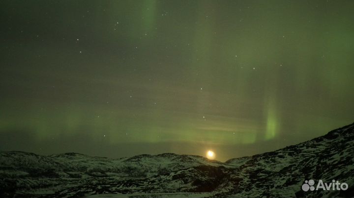 «Охота за Авророй»