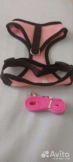 Шлейка для собаки