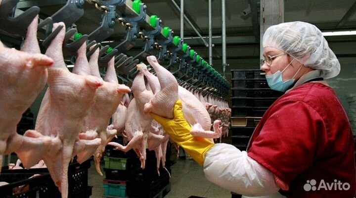 Вахта Белгород Проживание Питание Упаковщик-ца