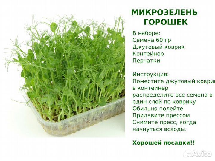 Микрозелень горох. Набор для проращивания
