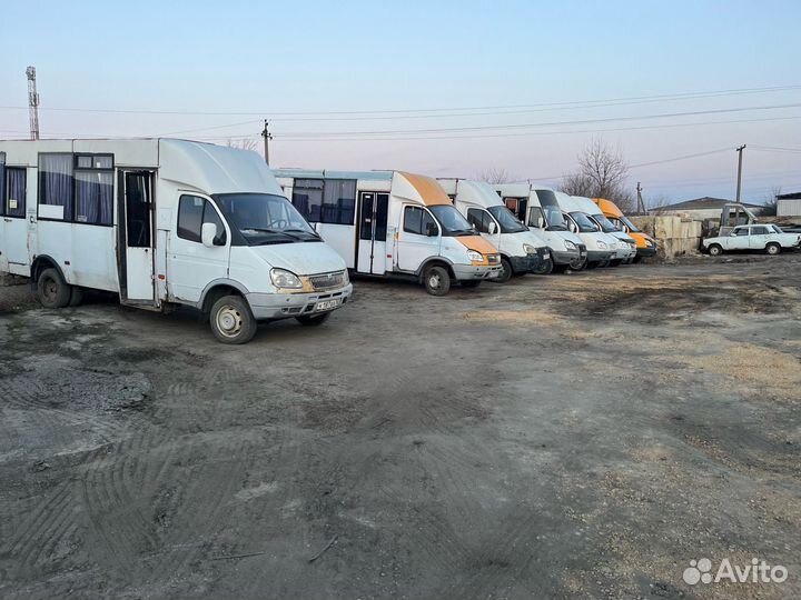 В разборе газель