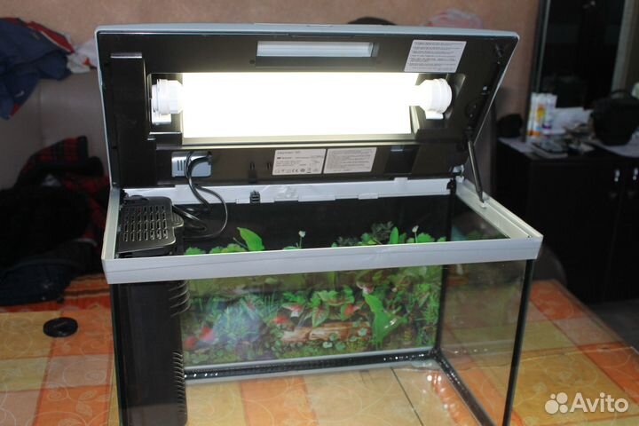 Аквариум Cayman 50 (40 л.)
