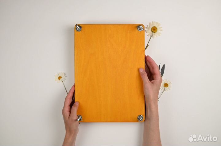 Гербарный пресс 22*31 см лиственница пивной картон