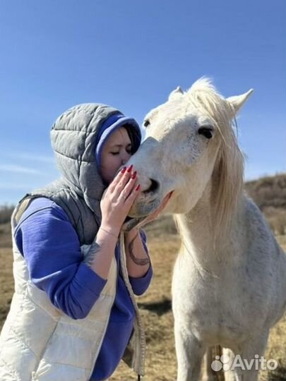 Регрессолог