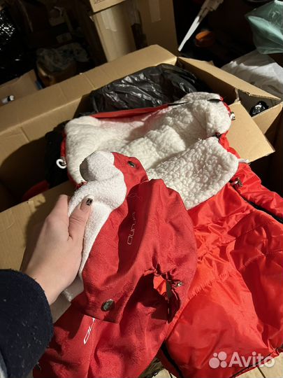 Коляска rico brano ecco