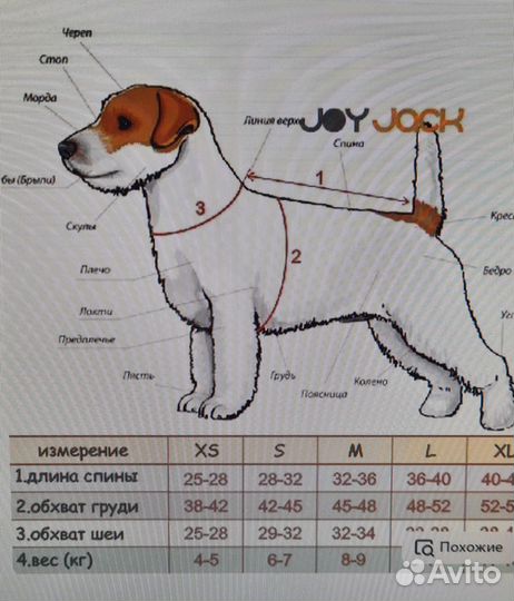 Комбинезон для собаки
