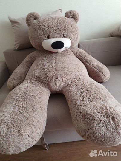 Медвежонок