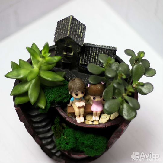 Флорариум композиция из растений суккуленты детям