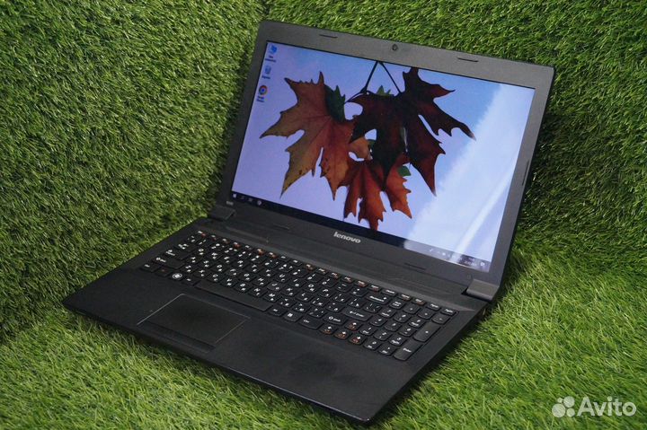 Lenovo B590 / 15.6