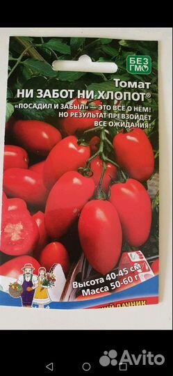 Рассада помидор