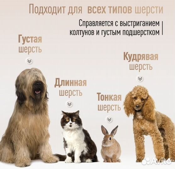 Машинка для стрижки животных