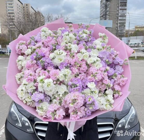 101 51 Роза Букеты Цветы