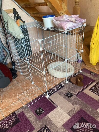 Вольер для собак