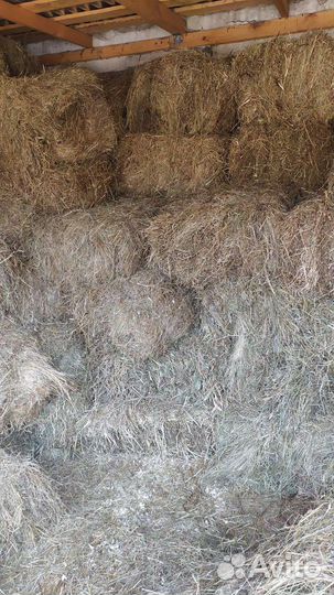 Сено в тюках Опилки россыпью Мешки