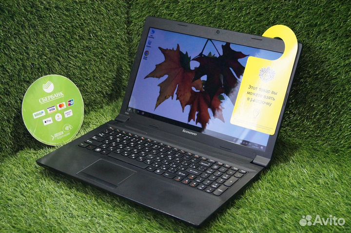 Lenovo B590 / 15.6