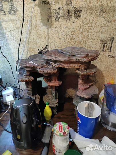 Аквариумные рыбки