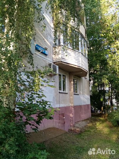 Котик домашний, может кто потерял