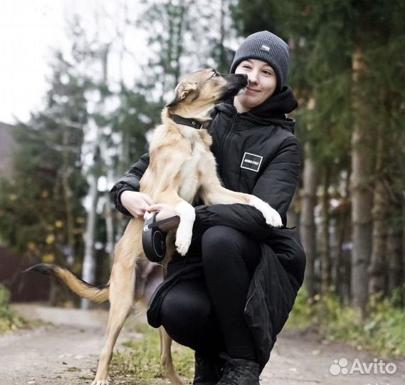 Щенок в добрые руки