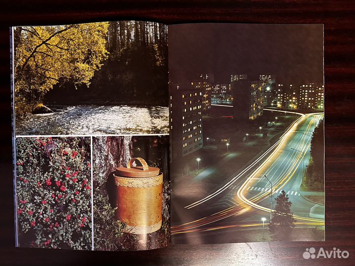 Альбомы Костомукшский гок и заповедник