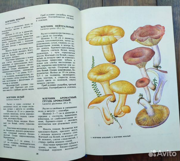 Ботаническая книга грибы, растения