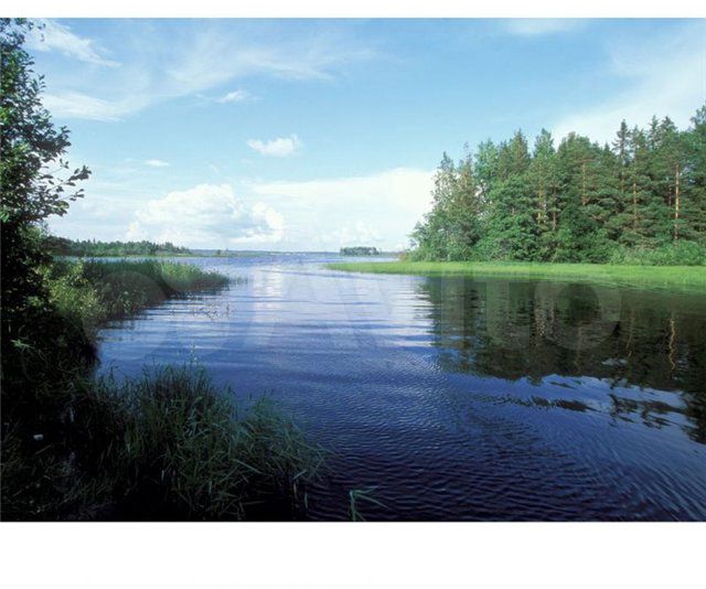 Участок 15 сот. (ИЖС)