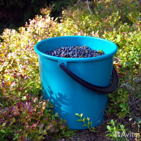 Ведро из пищ.пластика для грибов и ягод 10 л FIN
