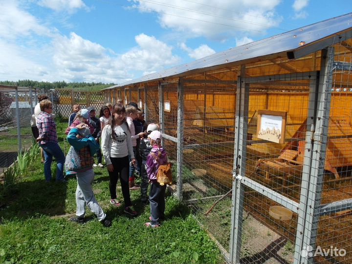 Продам фермерское хозяйство