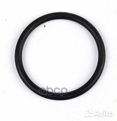 О-ринг трубки охлажден. V184/V347 01- BSG BSG