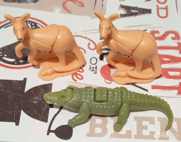 Kinder surprise