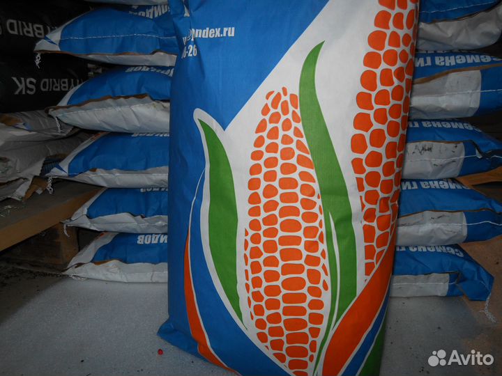 Семена кукурузы Краснодарская 291 амв, 292 амв