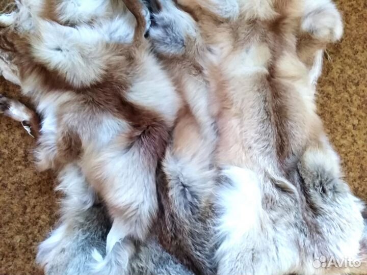 Шкурки лисьи