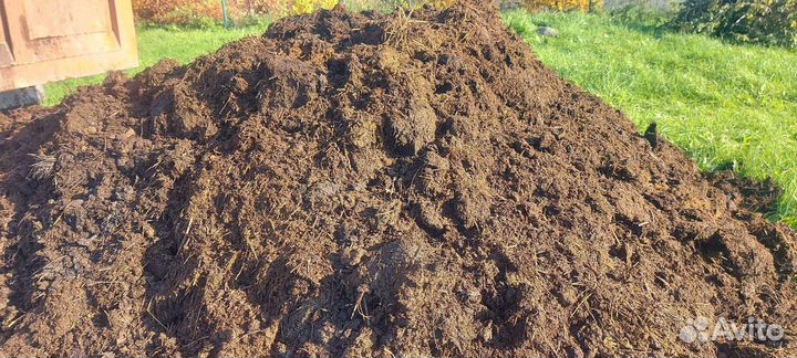 Навоз коровий