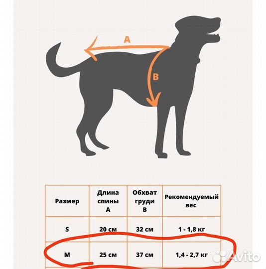 Дождевик для маленькой собаки