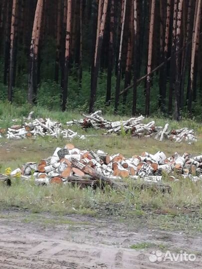 Дрова березовые колотые 5 м3