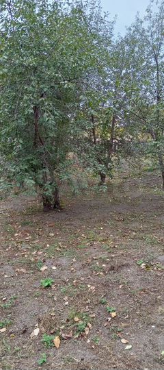 Дом 35,7 м² на участке 14,2 сот.