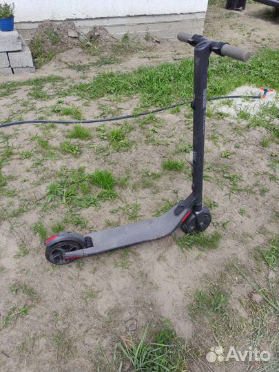 Электросамокат ninebot by segway