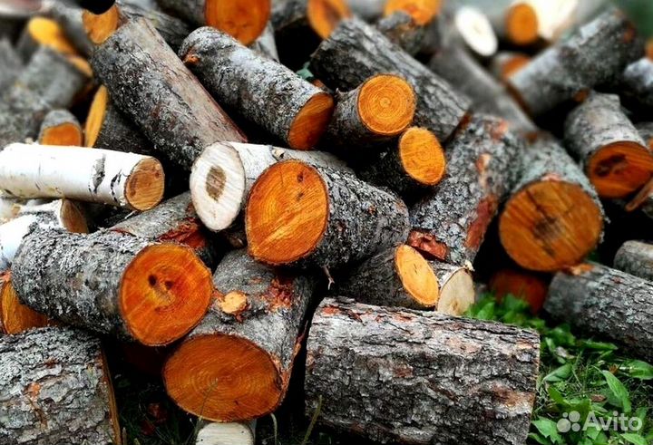Дрова зимней заготовки