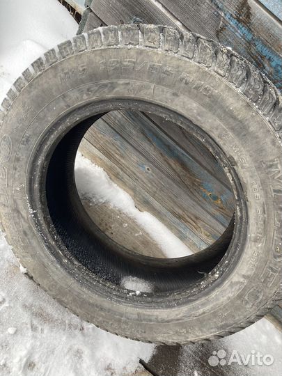 Accelera Accelera Summer 195/65 R15