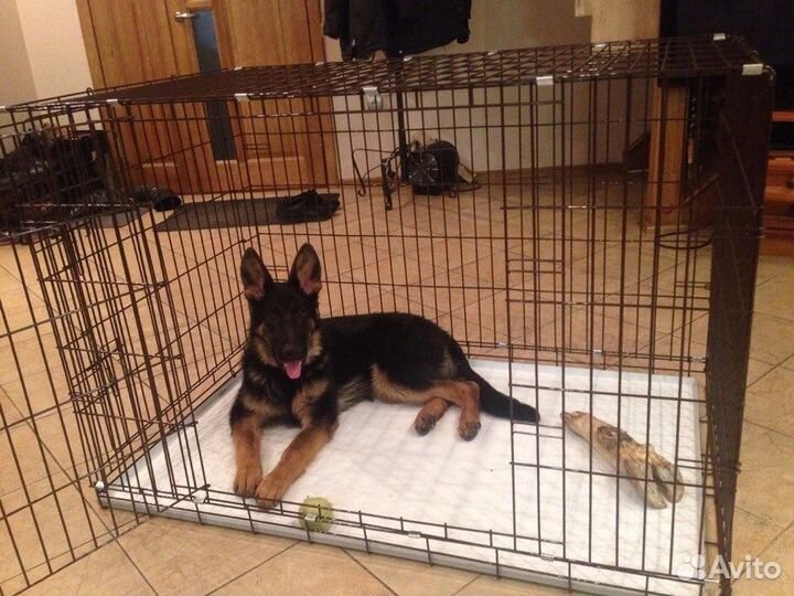 Клетка № 6 2 двери