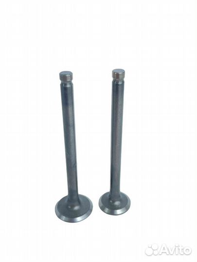 Клапаны скутер 139QMB d16+D18,5, длина 69 мм
