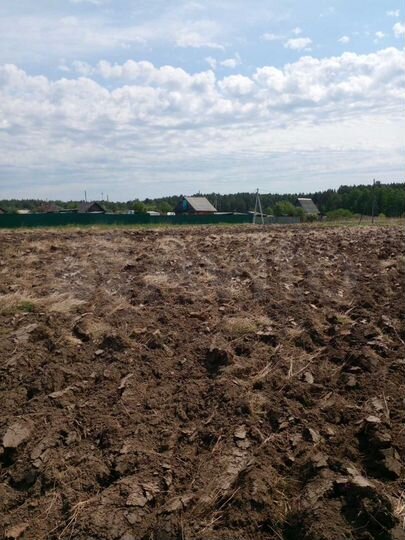 Участок 35 сот. (СНТ, ДНП)