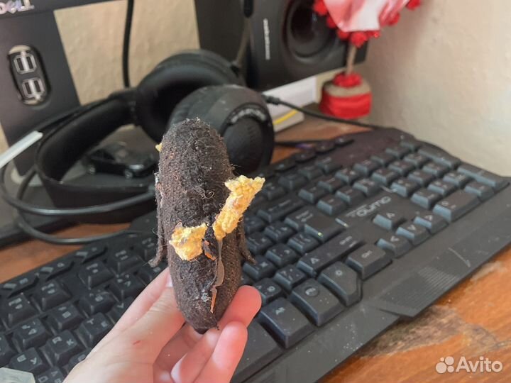 Самодельные игрушки