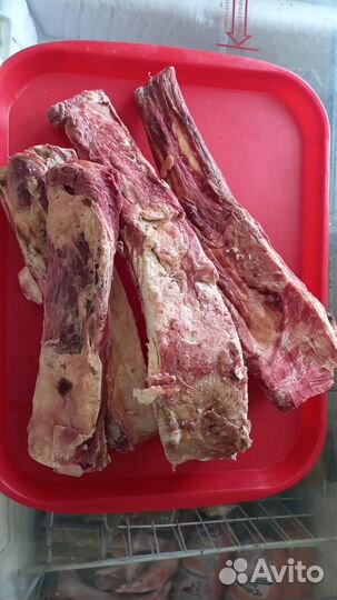 Ребра говяжьи для собак