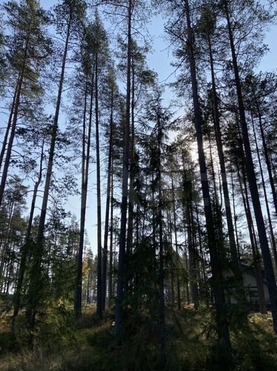 Участок 8 сот. (ИЖС)