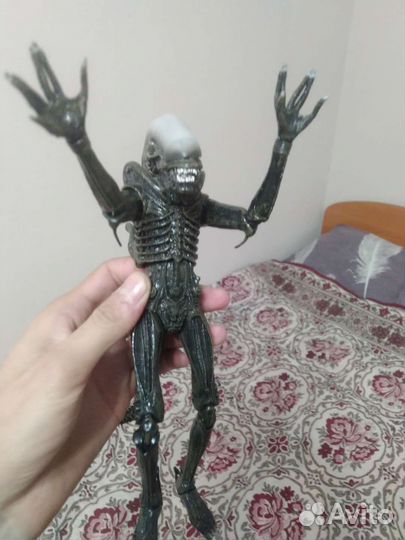Ксеноморф (Чужой, Alien)