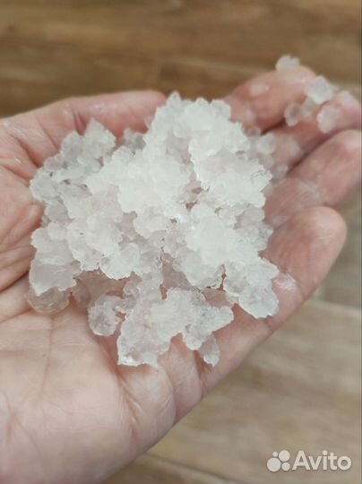 Чайный гриб, индийский морской рис