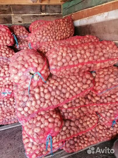 Продам картофель