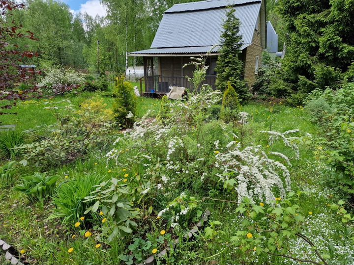 Дом 80 м² на участке 12,3 сот.